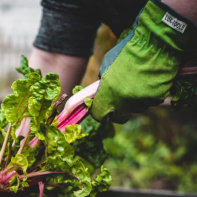 Waterproof Garden Gloves