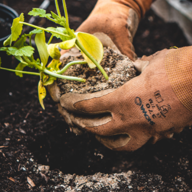 Waterproof Garden Gloves